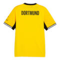 Back-home-bvb-2627