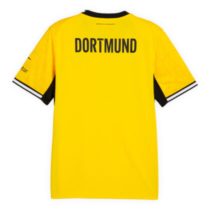 Back-home-bvb-2627